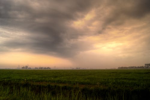 Бесплатное стоковое фото с буря, луг, облака