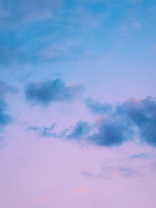 View of a Sunset Sky in Pastel Colors 