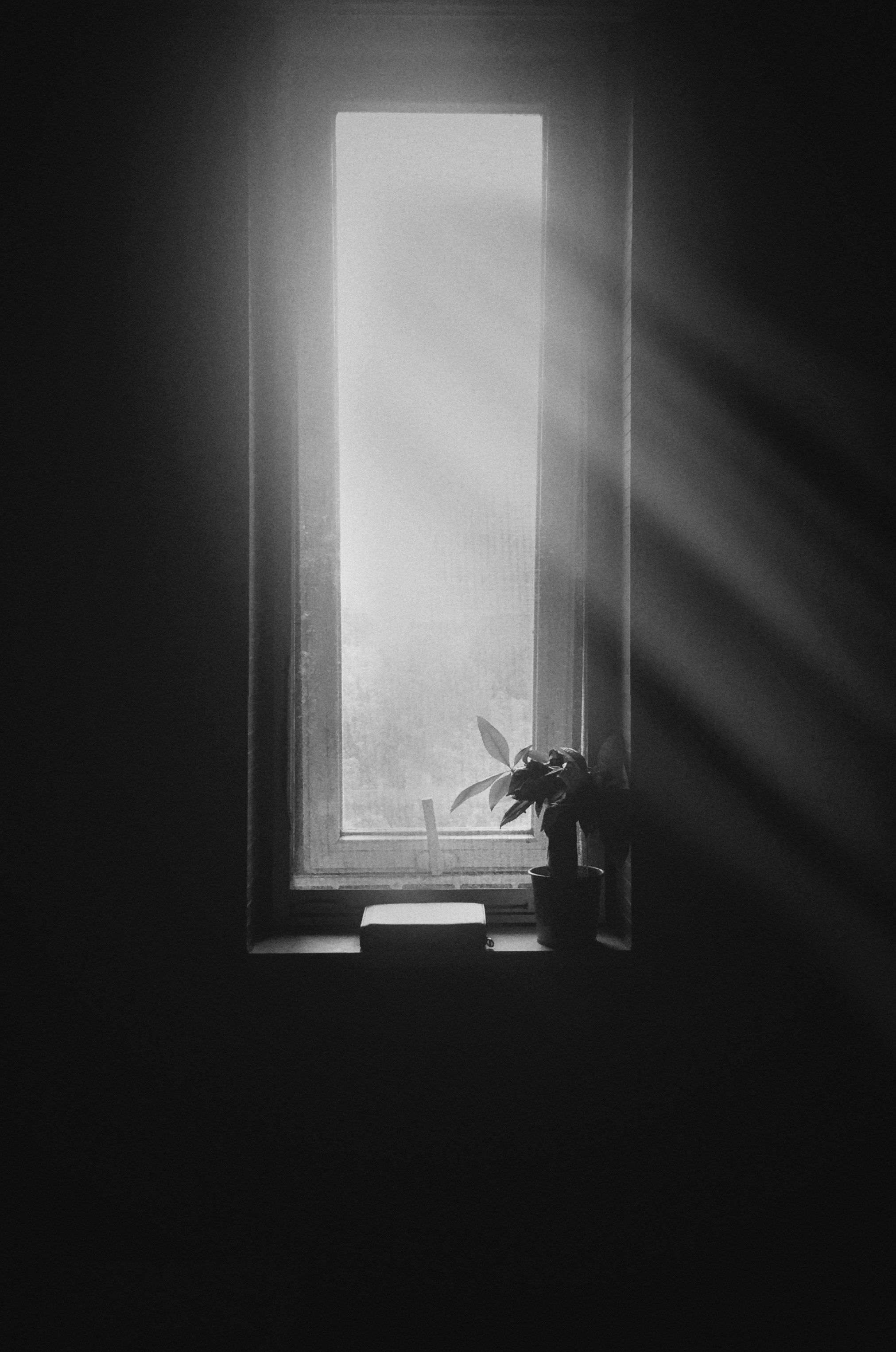 Fotomural Fotolia