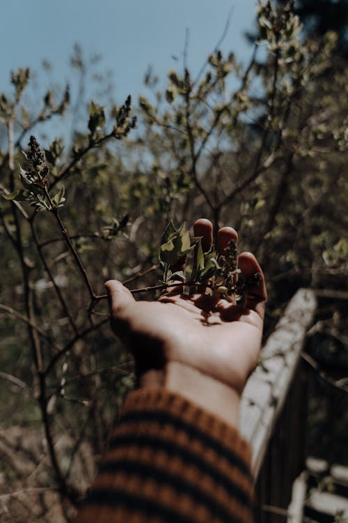 Základová fotografie zdarma na téma apple, barvy, budova