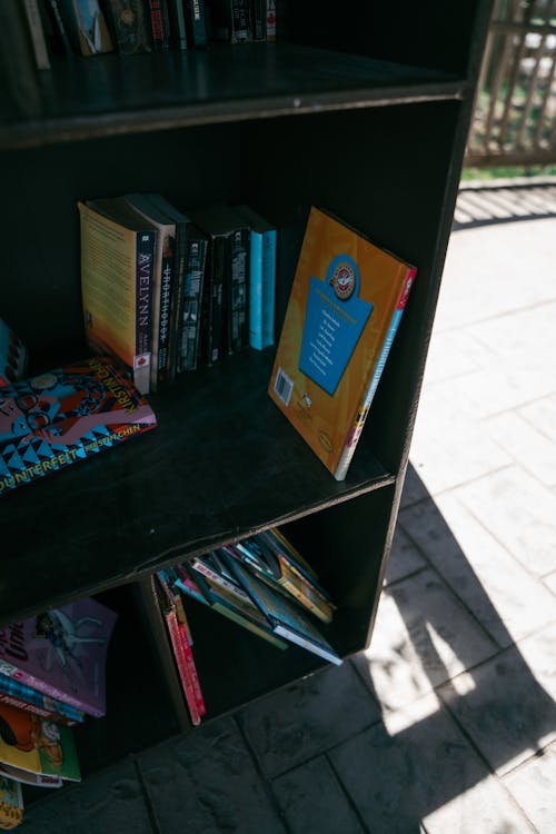 A book shelf with books on it and a cat