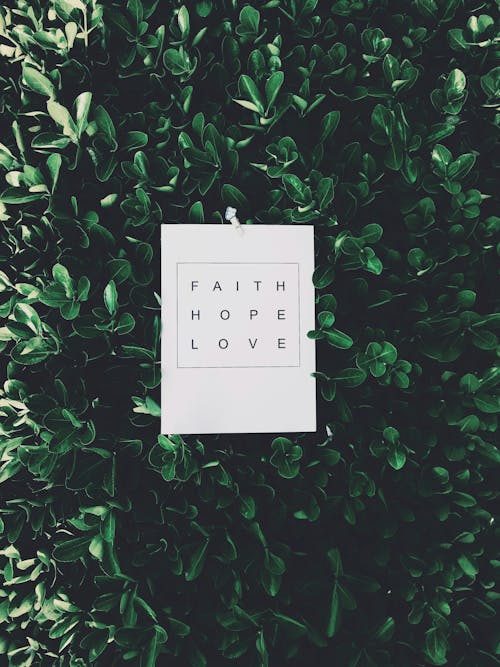 믿음 희망 사랑