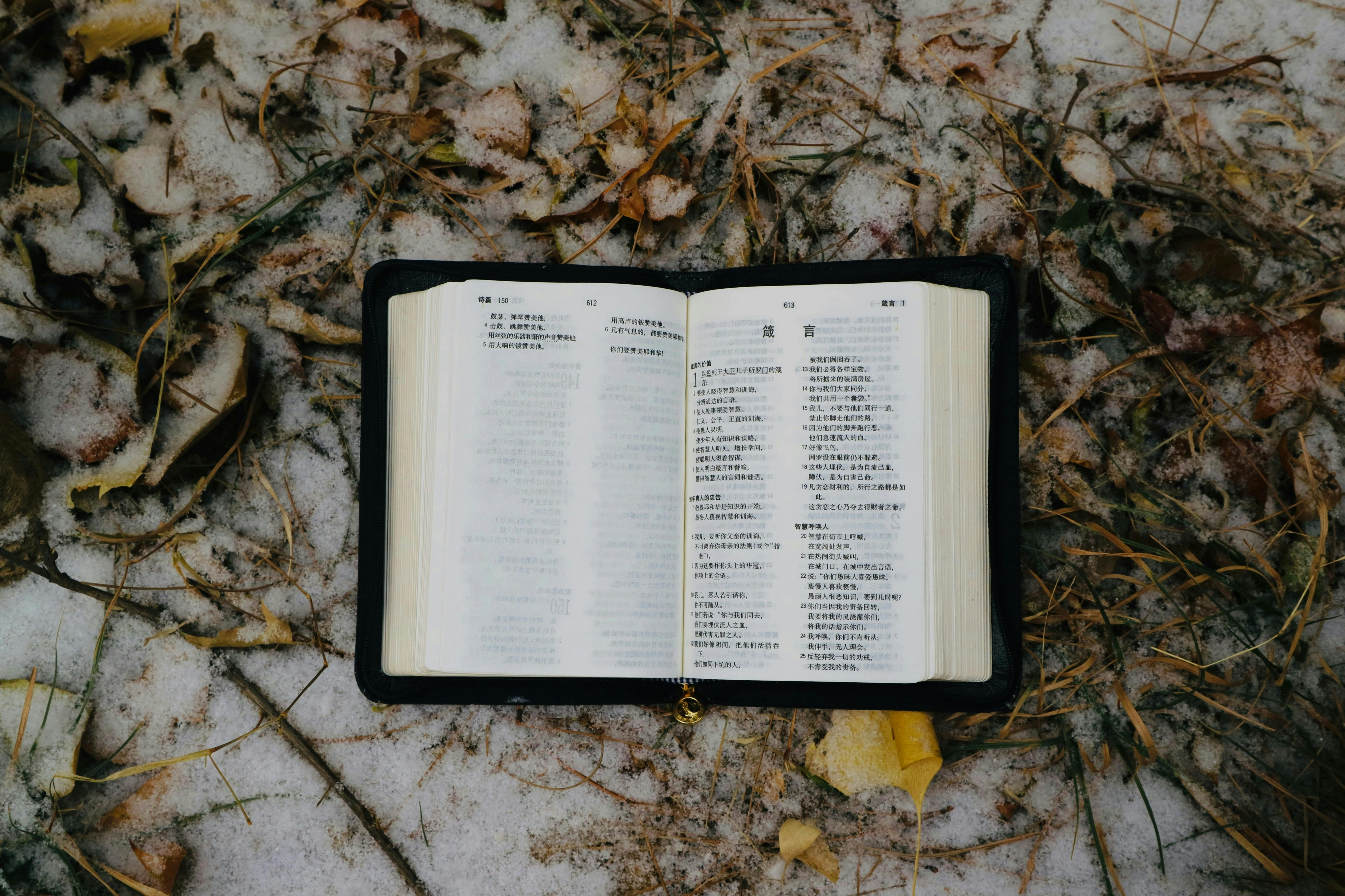 book in snow