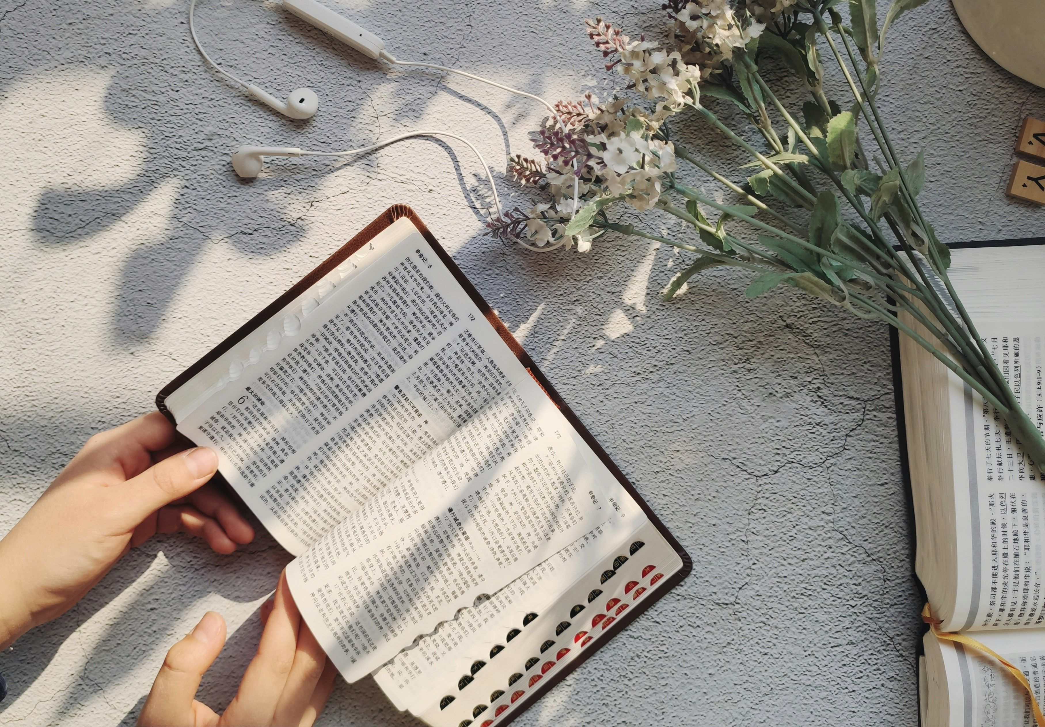 Read-Along English Apps Ranked: We Measured Whether Synchronized Text and Audio Actually Speeds Up Reading Fluency