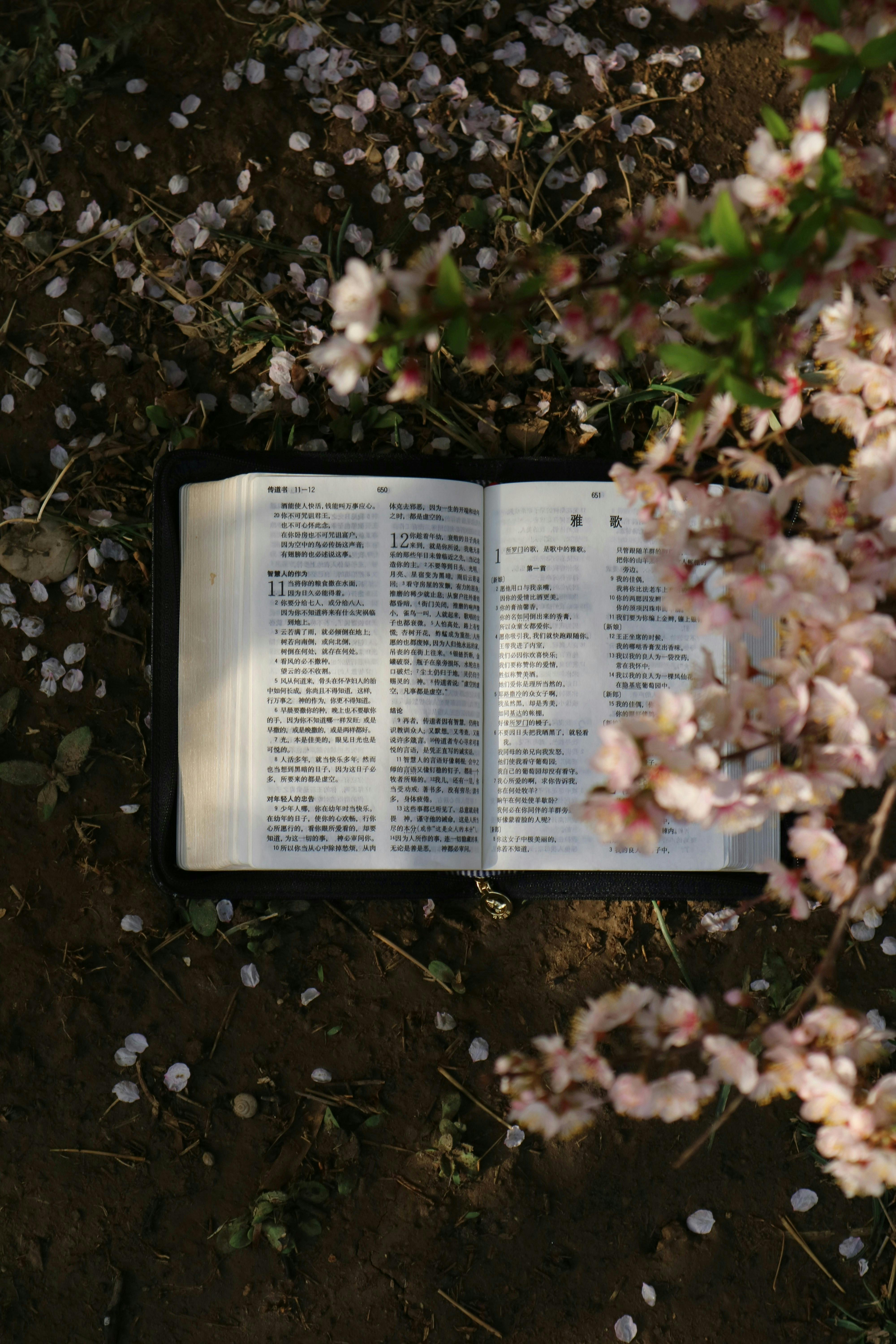 book under flowers