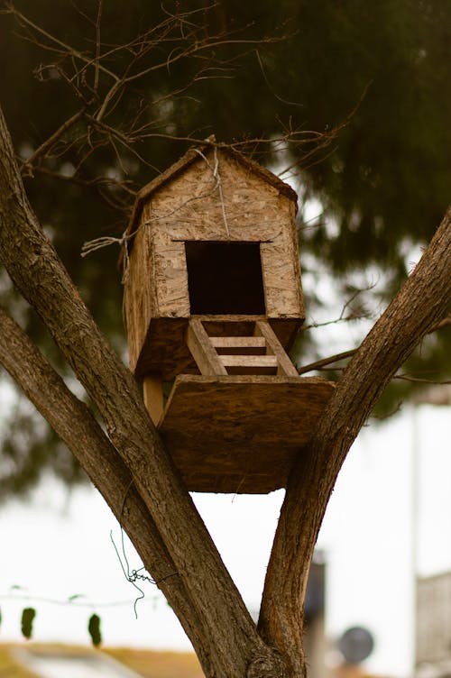 Immagine gratuita di albero, architettura, autunno