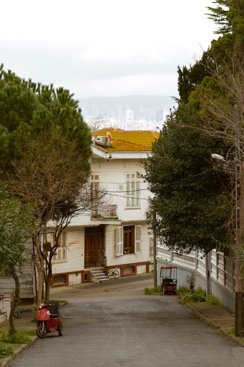 Immagine gratuita di albero, architettura, bungalow