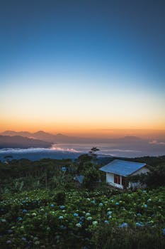 巴厘岛的美丽景观，在日出时分与山峦、云朵以及花草甸中的传统房子相映成趣
