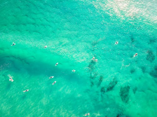 Aerial Photography of Boats on Body of Water