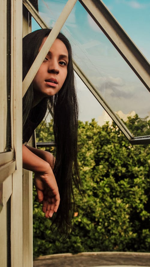 Imagine de stoc gratuită din fată, ferestre, portret