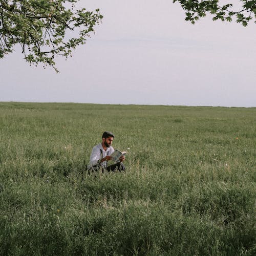 Základová fotografie zdarma na téma dospělý, farma, hřiště