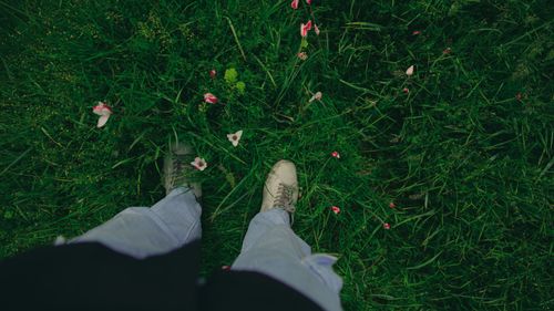 Free Top-down view of a person standing in a grassy meadow with scattered flowers, offering a serene nature scene. Stock Photo