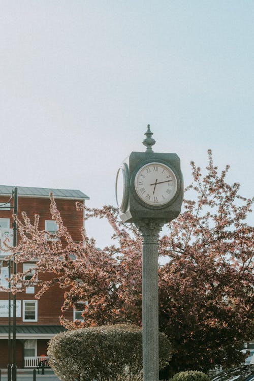 Free Outdoor Timer Stock Photo