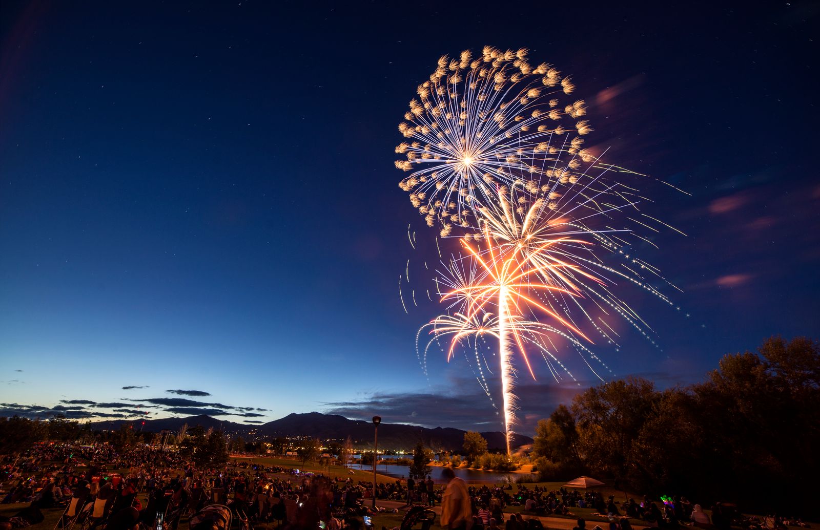 A long-exposure fireworks display lighting up the night sky above the treeline