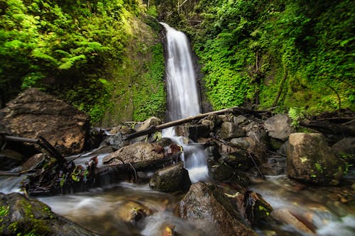 Free Long Exposure Photography of Waterfalls Stock Photo