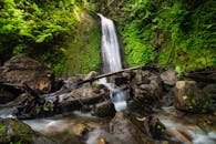 瀑布宁静地倾泻而下，落入郁郁葱葱的绿色森林，四周环绕着苔藓覆盖的岩石