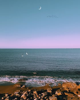 日落时分，海面宁静，鸟儿飞翔，天空中挂着一弯半月