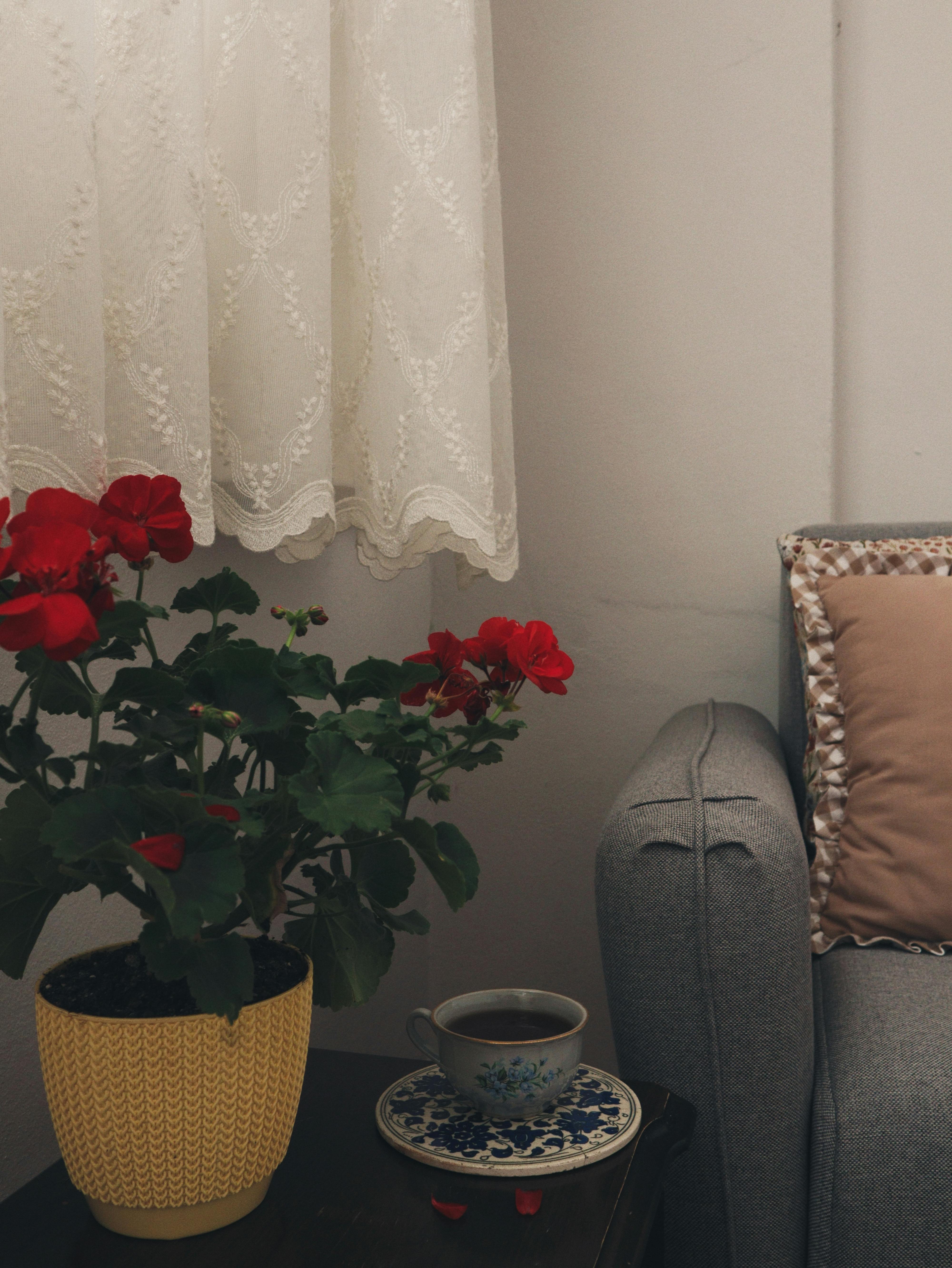 Gratuit Imagine de stoc gratuită din #de interior, ambianță relaxantă, aranjament floral Fotografie de stoc