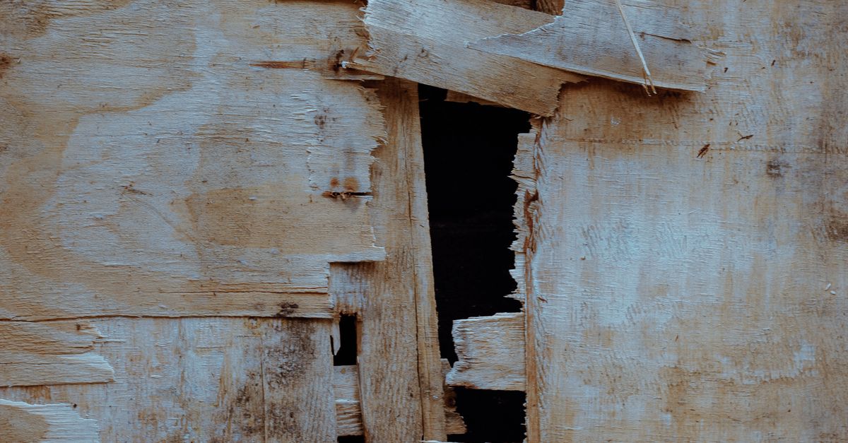 The Pallet Guy 48 x 40 Pallets in Webster FL