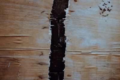 Texture de bois fendu avec fissure profonde dans une poutre ancienne — traitement vrillettes à Lyon