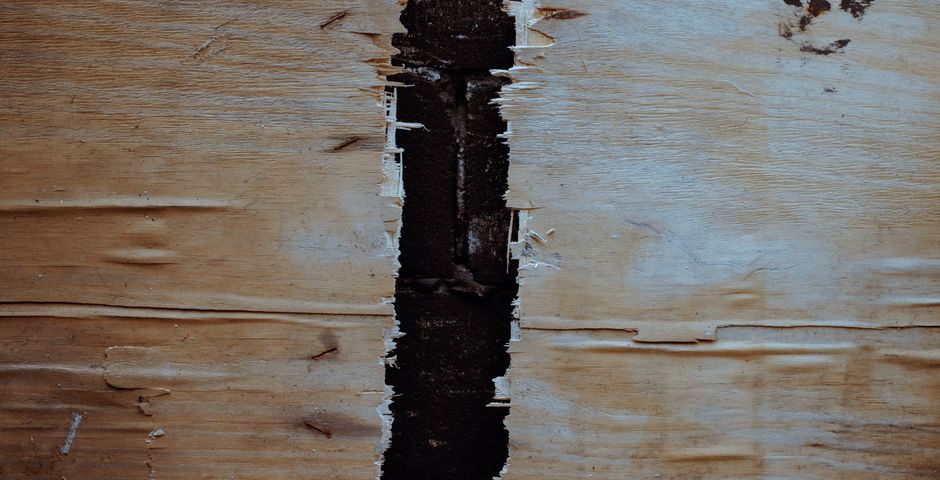 Broken timber showing damage — termites eat wood from the inside out