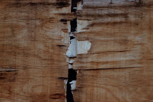 Free Close-up of a cracked rustic wooden surface with visible texture and grunge elements. Stock Photo