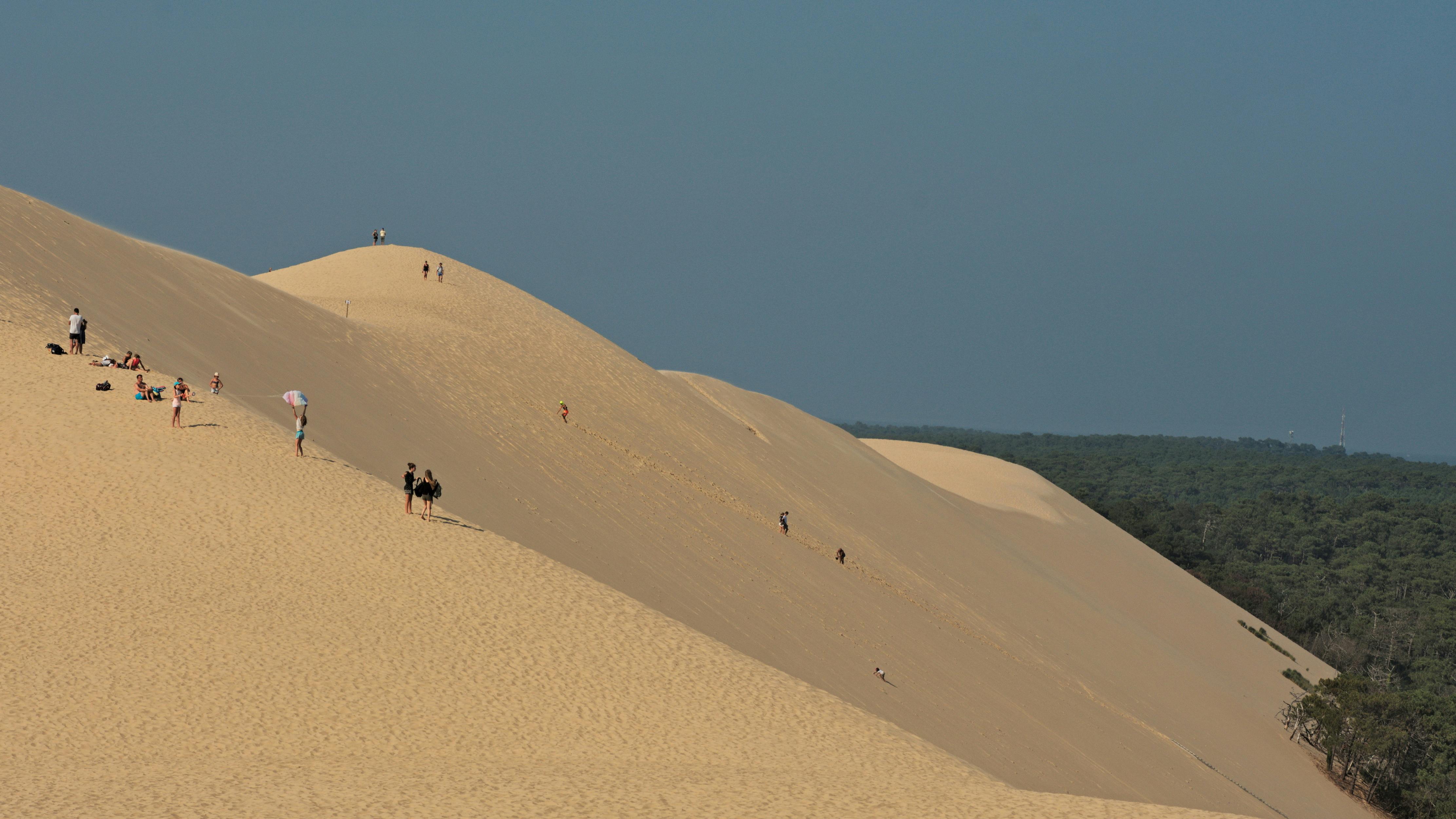 Paysages variés inspirés par la Dune du Pilat, créations artistiques modernes