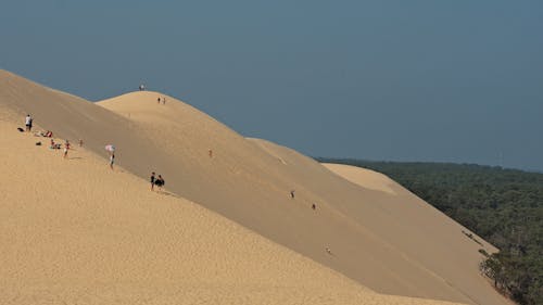 People walking on top of a large sand dune
