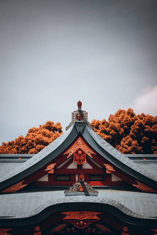 A red roof with a tree in the background