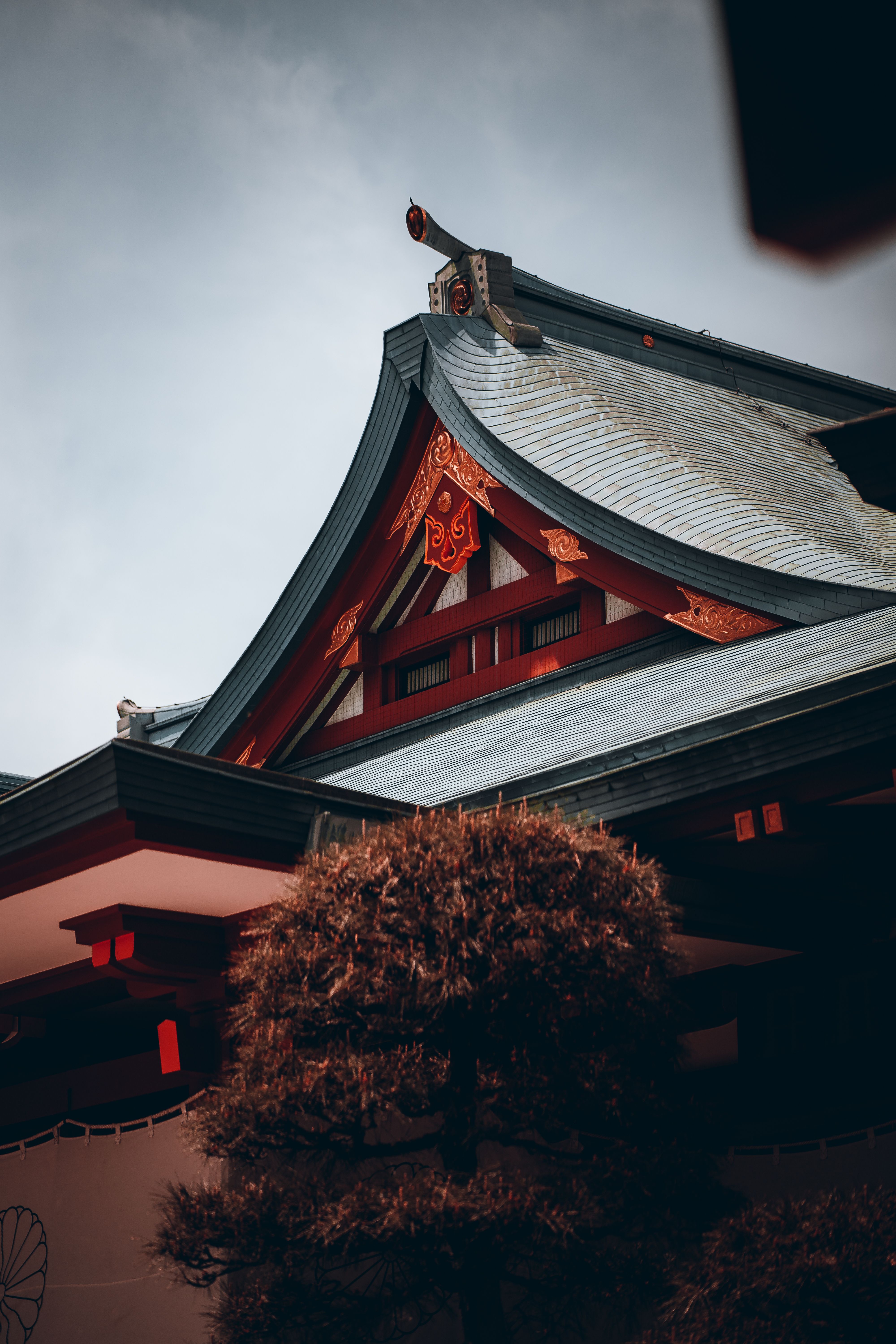 A beautiful Shinto shrine roof with intricate details captured in Tokyo, Japan.