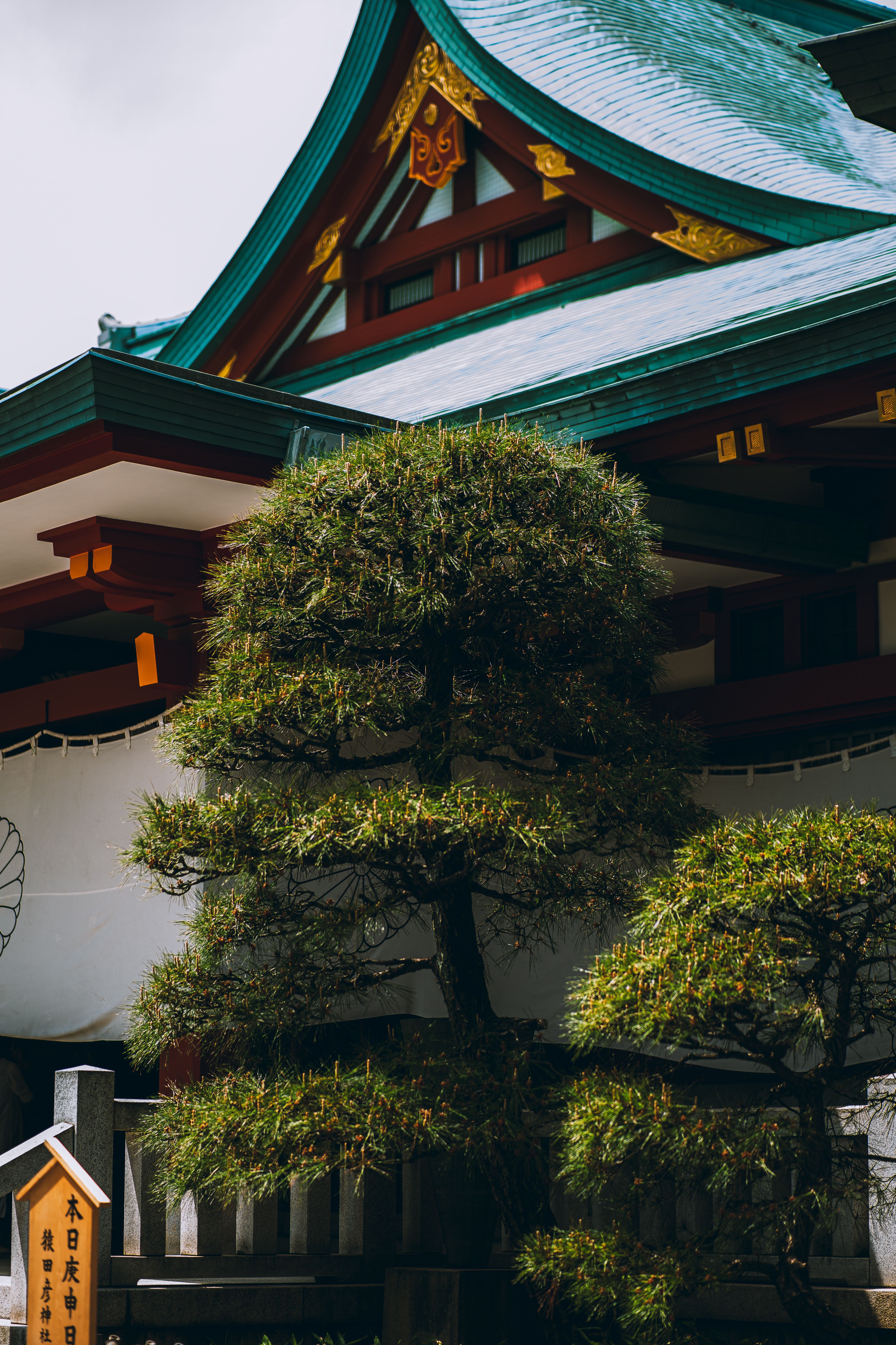 Discover the serene beauty of a traditional Shinto shrine in Tokyo, Japan, featuring intricate architecture and lush greenery.