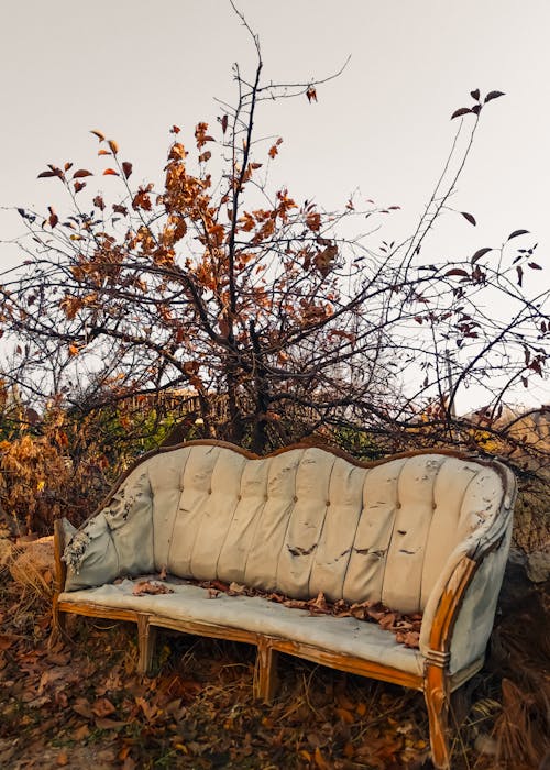 An old couch sits in the middle of a field