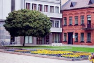 这座宁静的城市庭院里，树木繁茂，花朵缤纷，还有古典的砖砌建筑