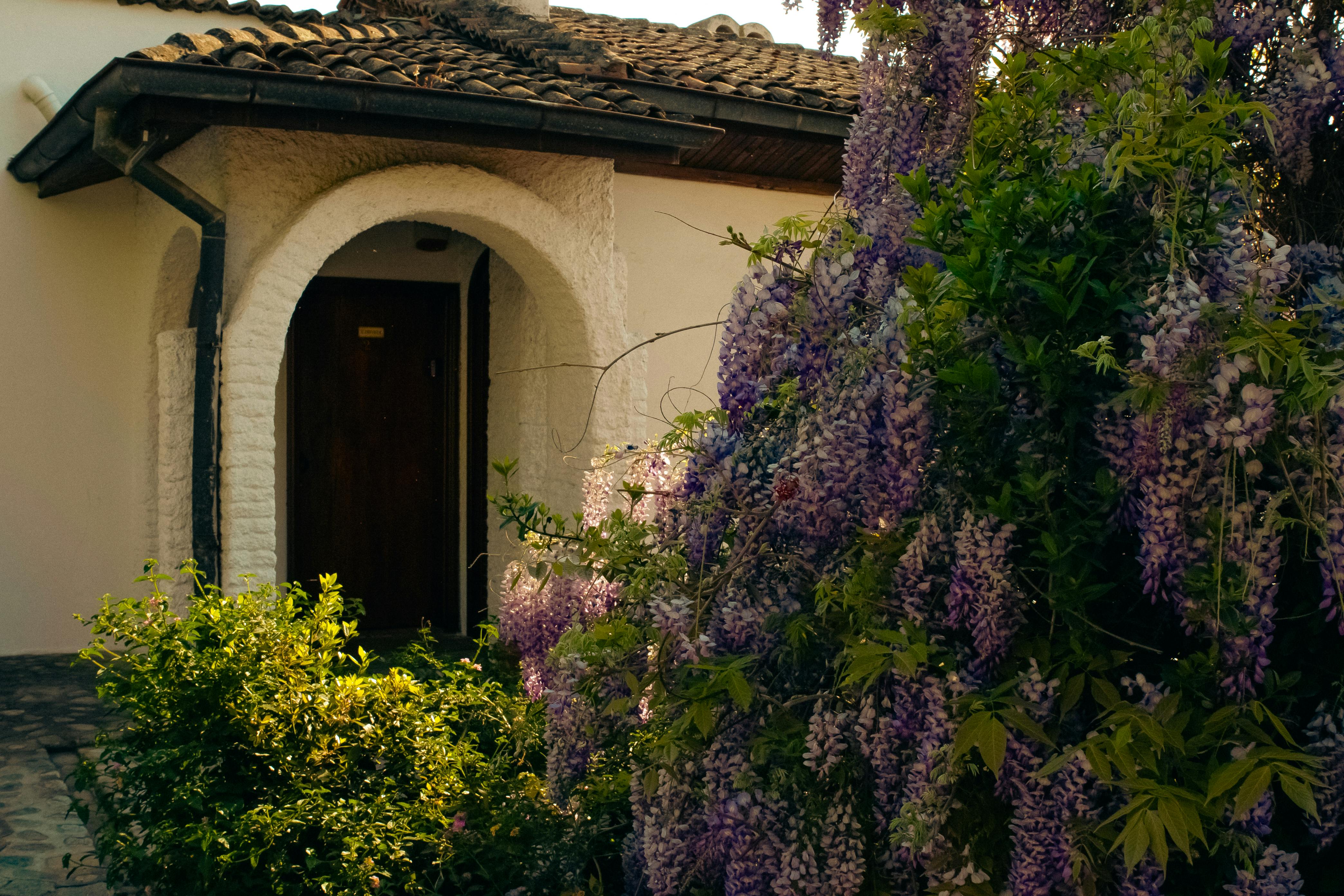Wisteria Cottage & Barn with blooming wisteria and historic architecture - Barn wedding venues Maryland