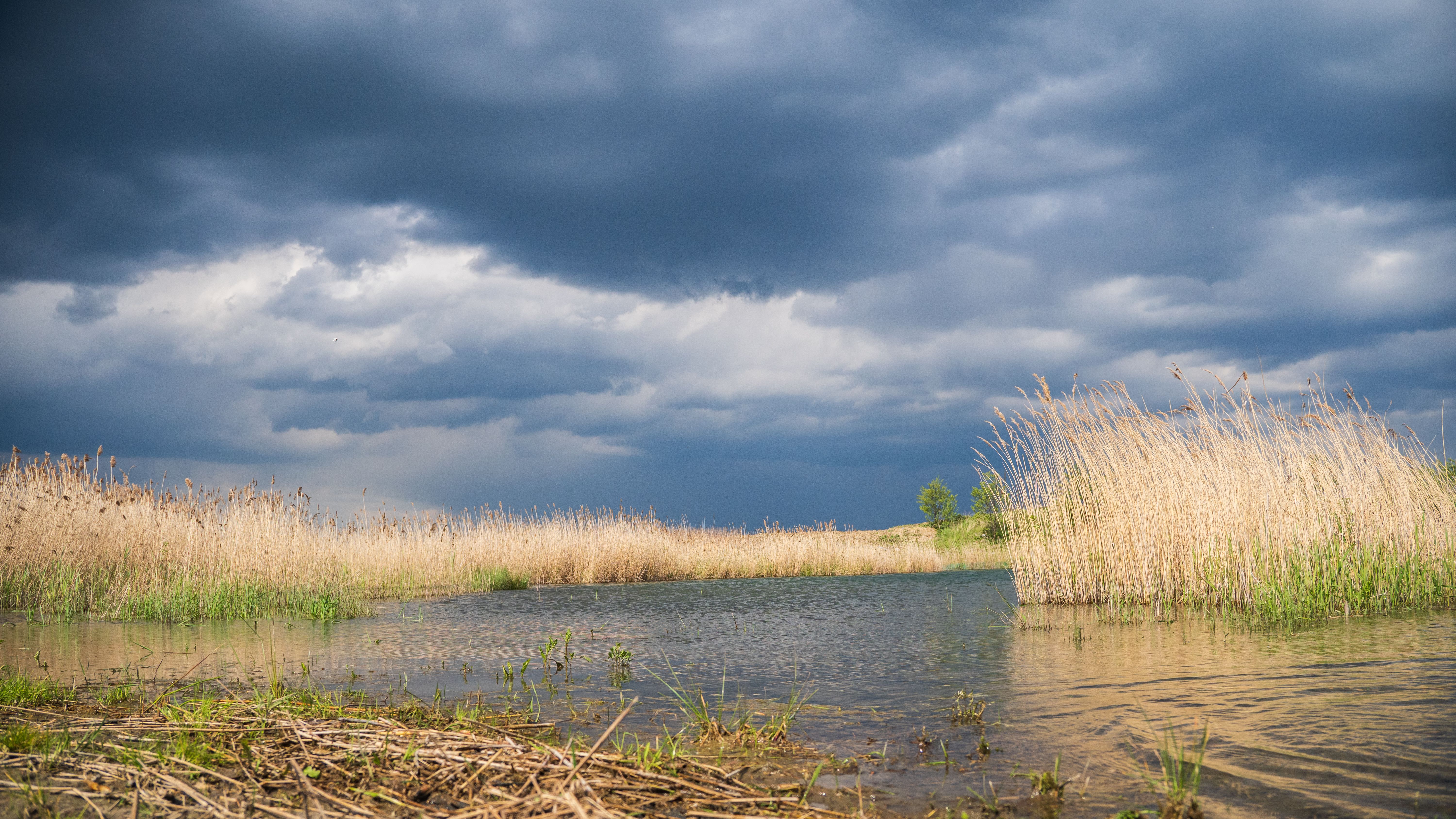 Seacourt Nature Park & Stream Walk