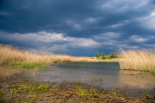 Free A serene rural lakeshore landscape with dramatic storm clouds overhead, reflecting nature's raw beauty. Stock Photo