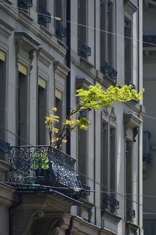 Gratis lagerfoto af arkitektur, balkon, by