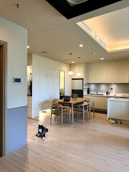 Contemporary kitchen and dining area with a resting dog, modern furniture, and light decor.