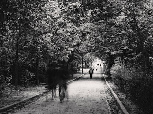 A black and white photo of people walking down a path