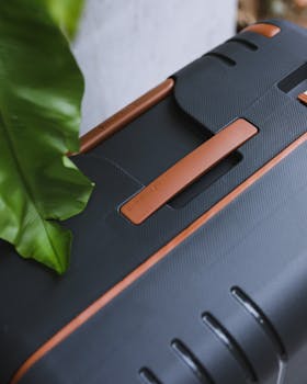 Close-up of a sleek black suitcase with a brown handle next to a green leaf.