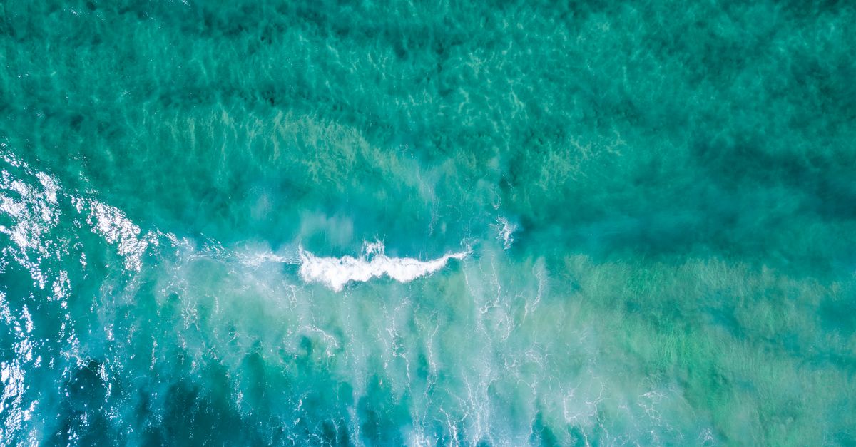 El nivel del mar es más alto de lo que se creía y millones de personas estarían en riesgo, revela estudio El nivel del mar es más alto de lo que se creía y millones de personas estarían en riesgo, revela estudio