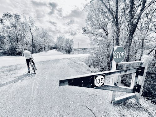 Foto profissional grátis de andar de bicicleta, bicicletas, cascalho