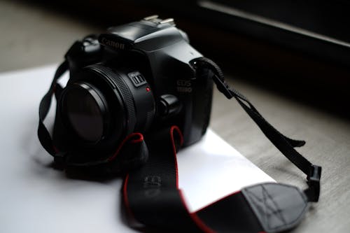 Ingyenes stockfotó digitális kamera, dslr fényképezőgép, fényképezőgép témában
