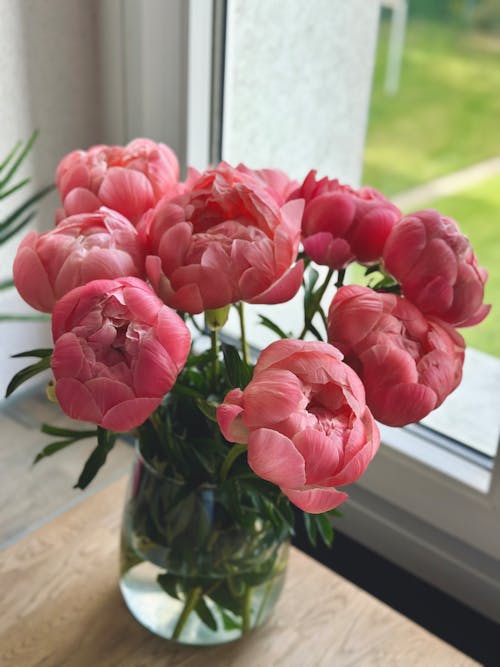 Pink peonies in a vase on a window sill