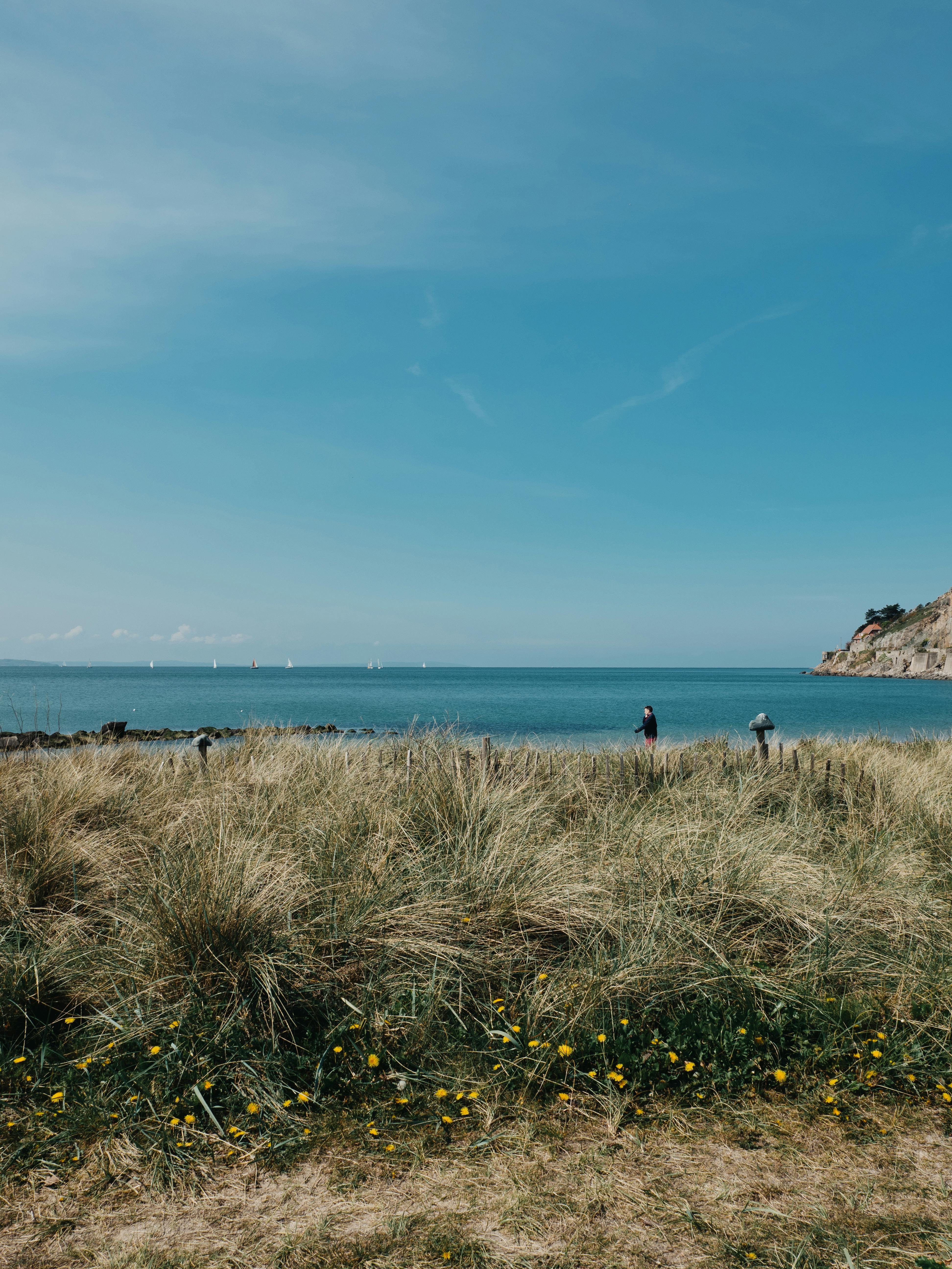 Peaceful view of grass and sea at Llandudno, ideal for relaxation and nature lovers.