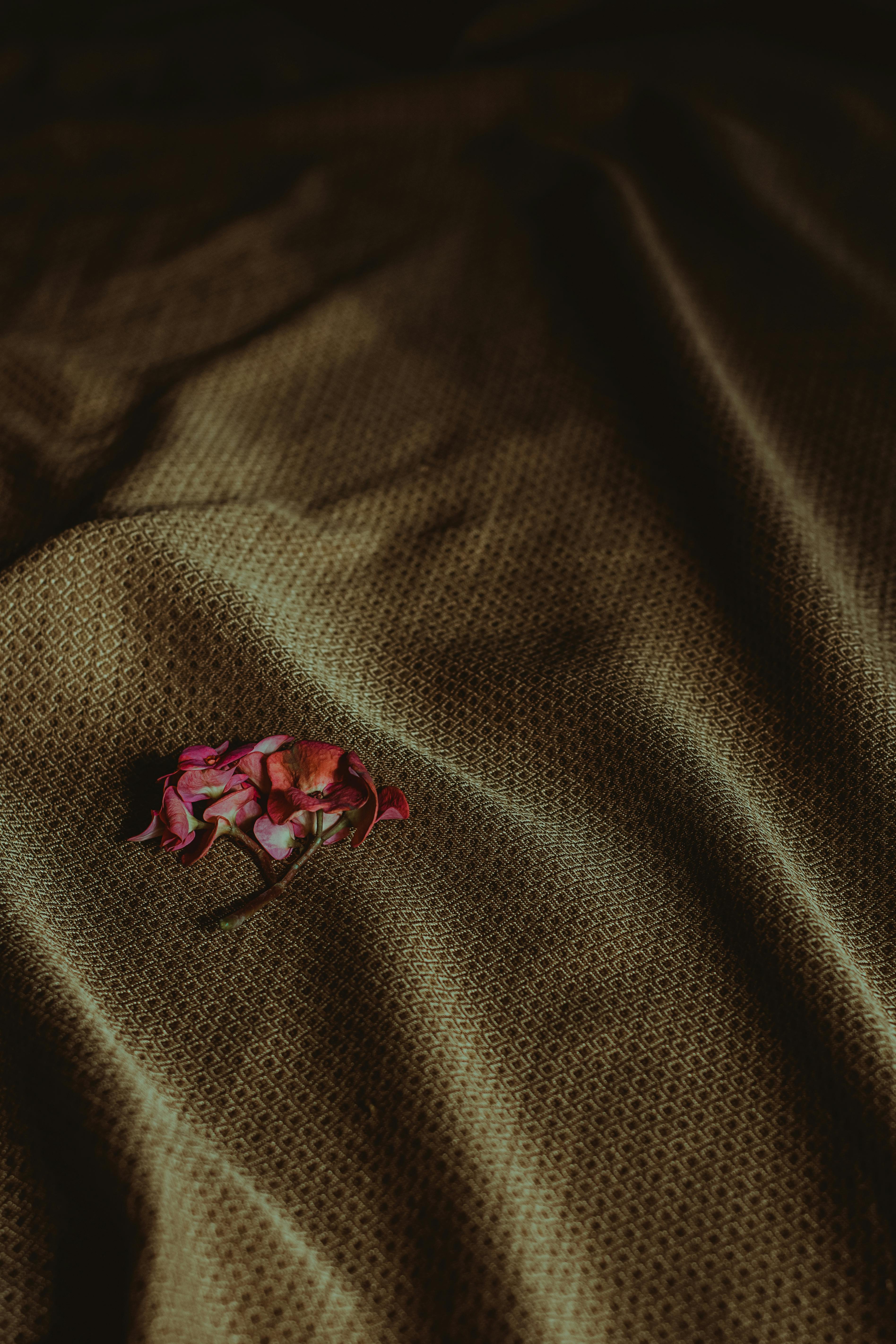 De franc Foto d'estoc gratuïta de amb textura, ambient, amor Foto d'estoc