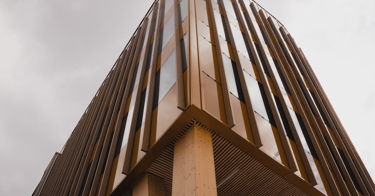 An exterior view of a modern eco-friendly house made with sustainable building materials.