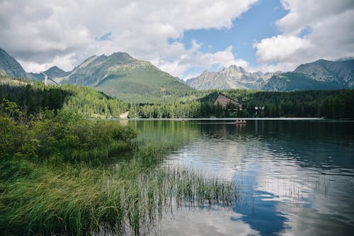 Free stock photo of forest, green, high tatras