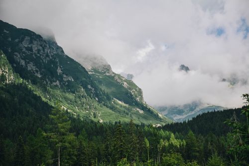 Free A breathtaking view of a foggy mountain landscape with lush greenery, capturing nature's tranquility. Stock Photo