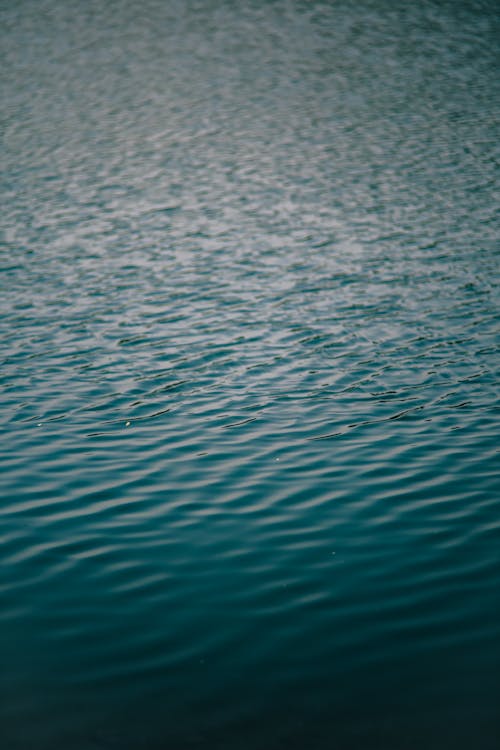 A close up of the water surface of a lake